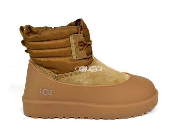 Женские мини угги Classic Mini Lace-Up Weather Chestnut